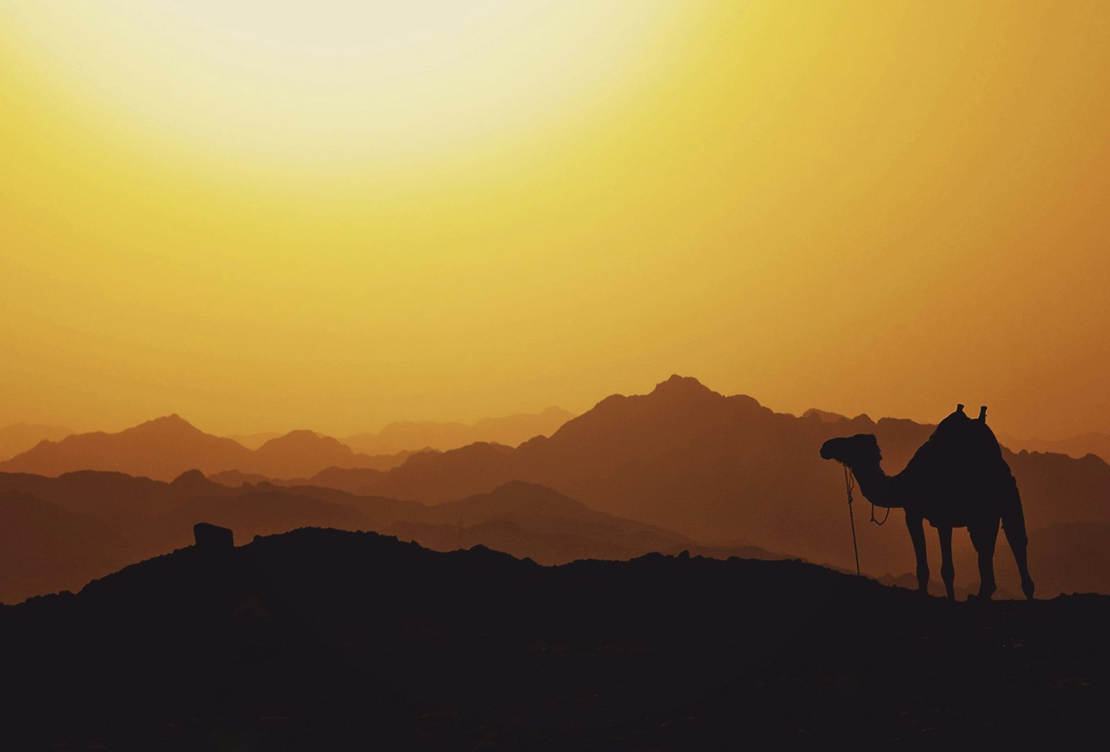 Ancient trade routes from Asia to Persia and the Middle East